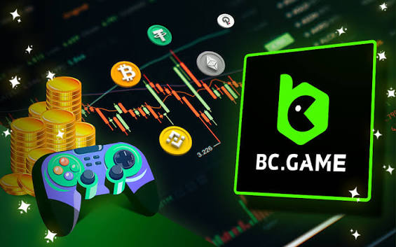 Corgibet Casino Privacy Your Information Matters
